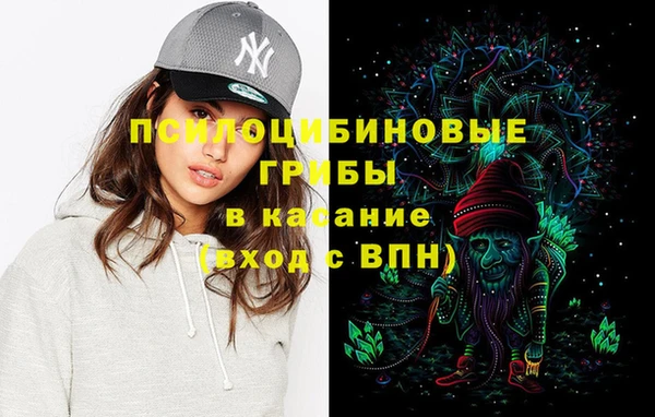 синтетический гашиш Алексин