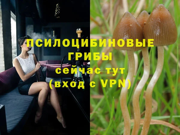 синтетический гашиш Алексин
